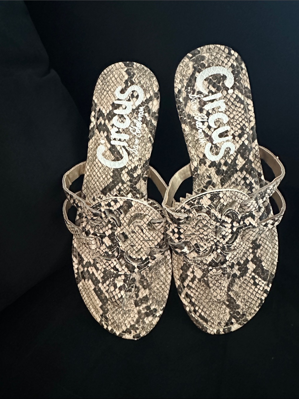 Circus by Sam Edelman Beige and Black Snake-Print Braided Slide Sandals